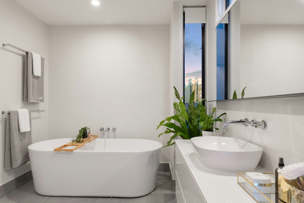 Bright bathroom with freestanding bathtub and green plant
